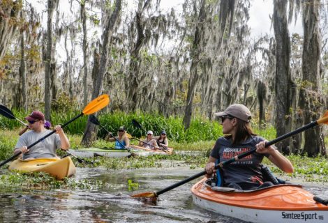 Lost Lands: Not Your Average Swamp Tour