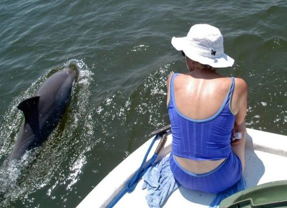 To rebuild the coast, Louisiana must show its river diversions won’t kill native dolphins | The Lens