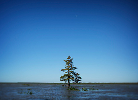 Study says New Orleans will see one of the highest levels of sea level rise in the world | The Lens