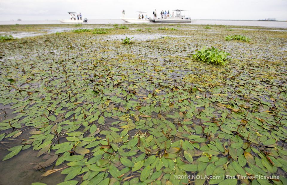 Louisiana Students Must Be Immersed in Our Coastal Threat | The Times-Picayune
