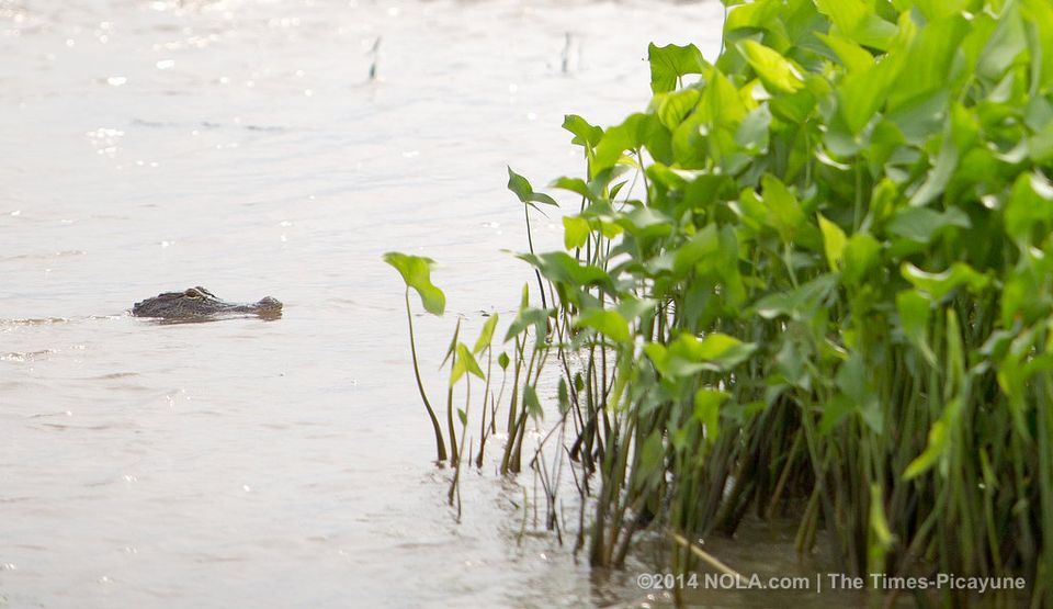 The More Children Learn About Coastal Loss, the Better | The Times-Picayune