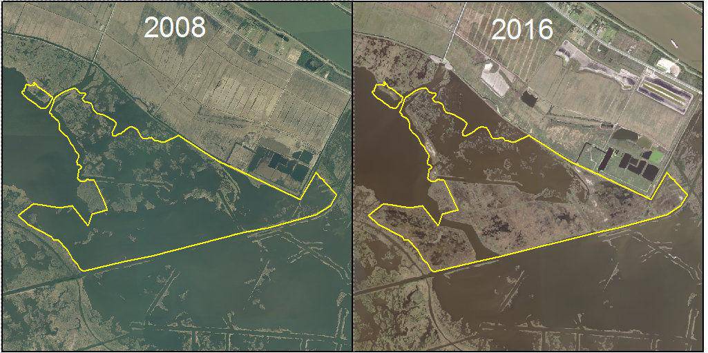 There Is Still Time to Save Louisiana’s Coast, But Here’s Why We Need to Act Fast