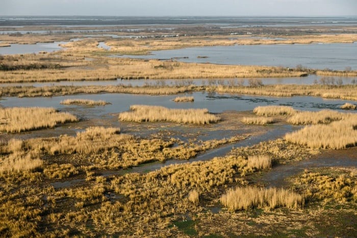 A Victory in the Fight to Save Our Coast, but the War Isn’t Won. Here’s Why