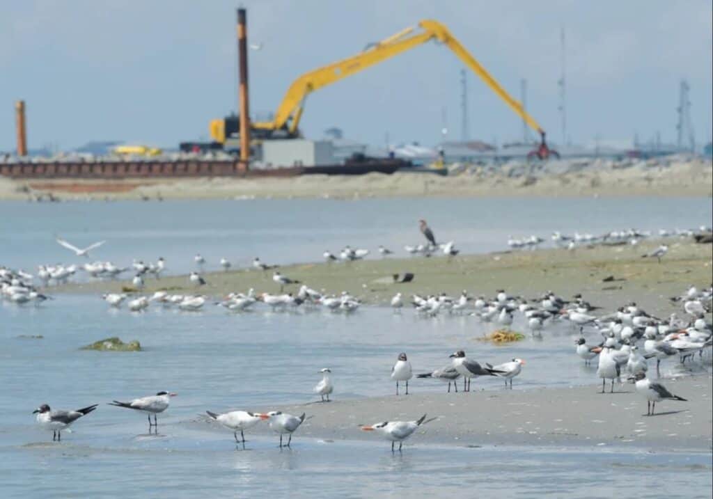 Louisiana is sinking