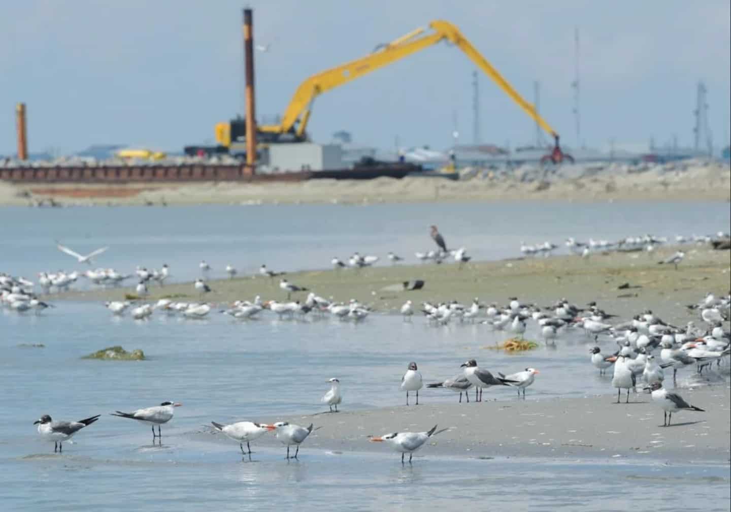 Louisiana Is Sinking and our Politicians Are Letting It Happen. Can We Sue Them?