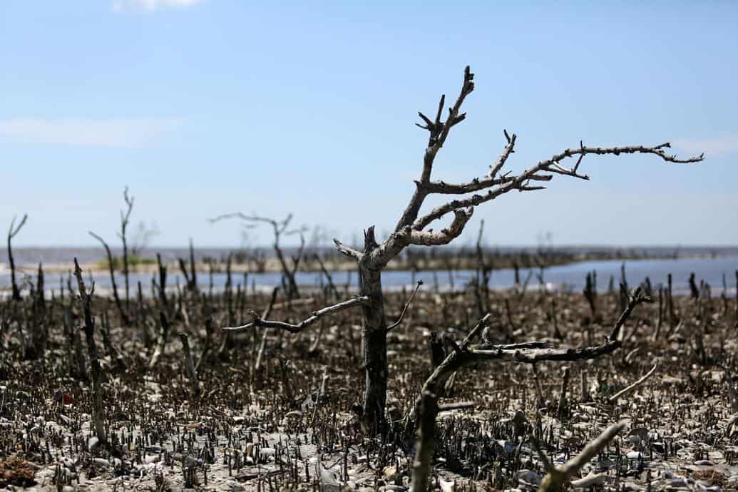 Louisiana Is Sinking, but Our Politicians Are Changing the Subject.