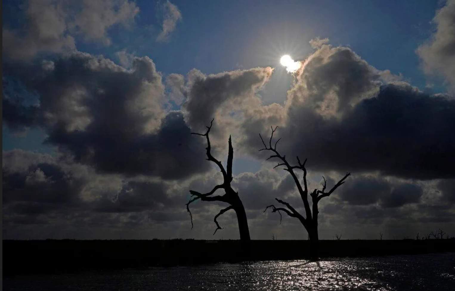 Some Welcome Good News for Our Coast, But Is It Enough?