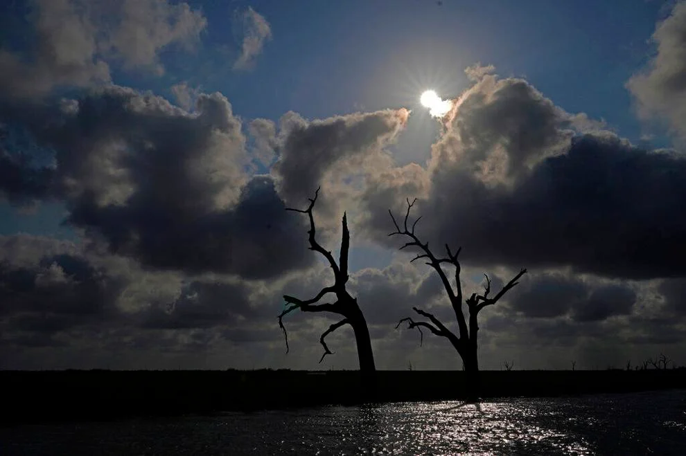 Some welcome good news for our coast, but is it enough?