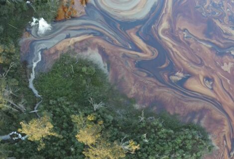 Why losing measures of environmental health matters